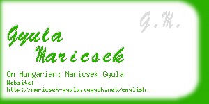 gyula maricsek business card